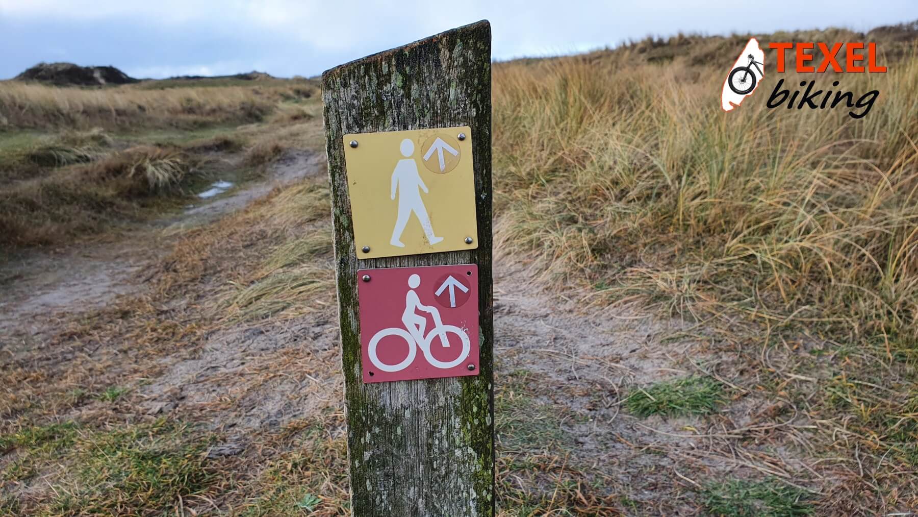 Fietspad de Slufter TEXELbiking