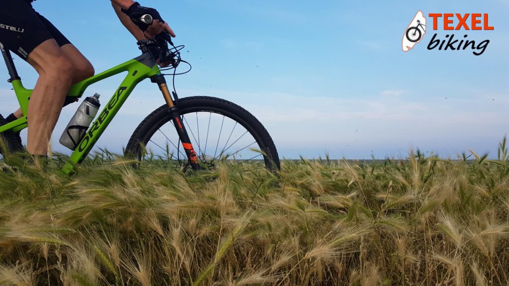 Fietsend door boerenland TEXELbiking