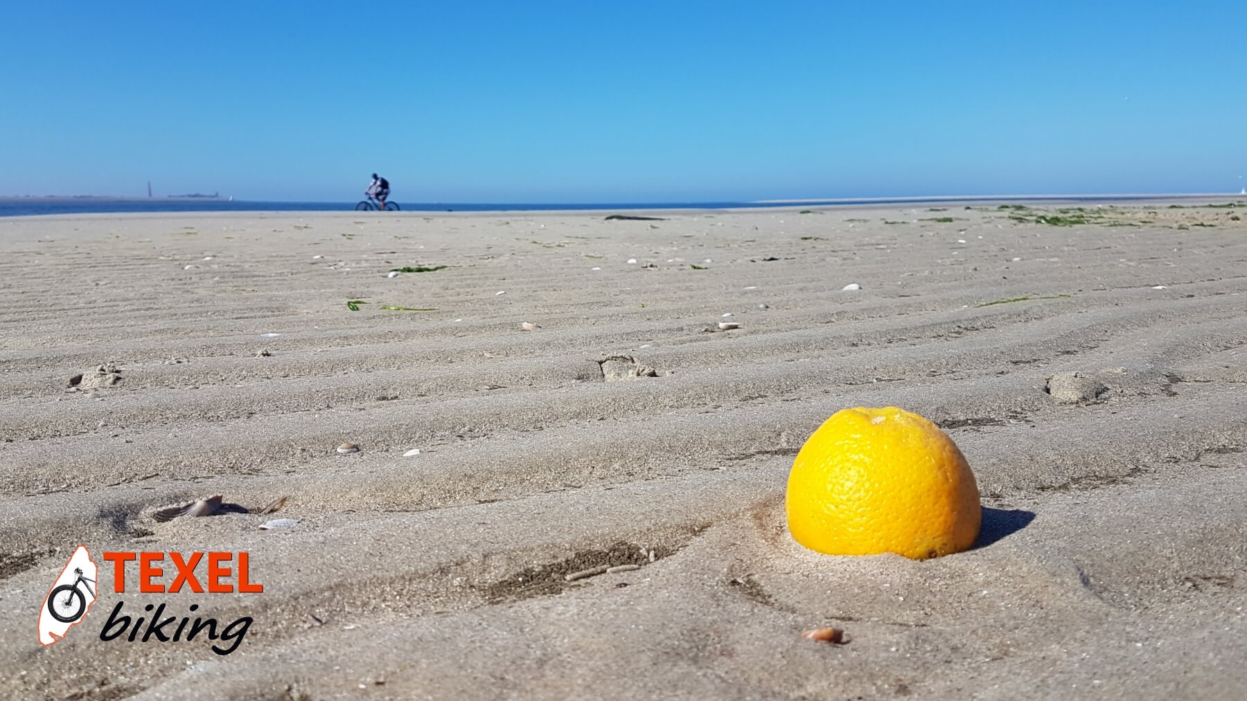 Strand sinaasappel TEXELbiking