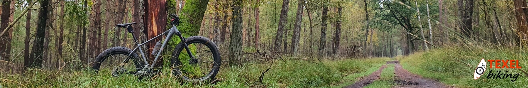 Veluwe bos TEXELbiking