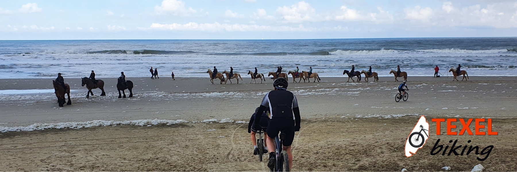 Paarden en mtb's op strand TEXELbiking