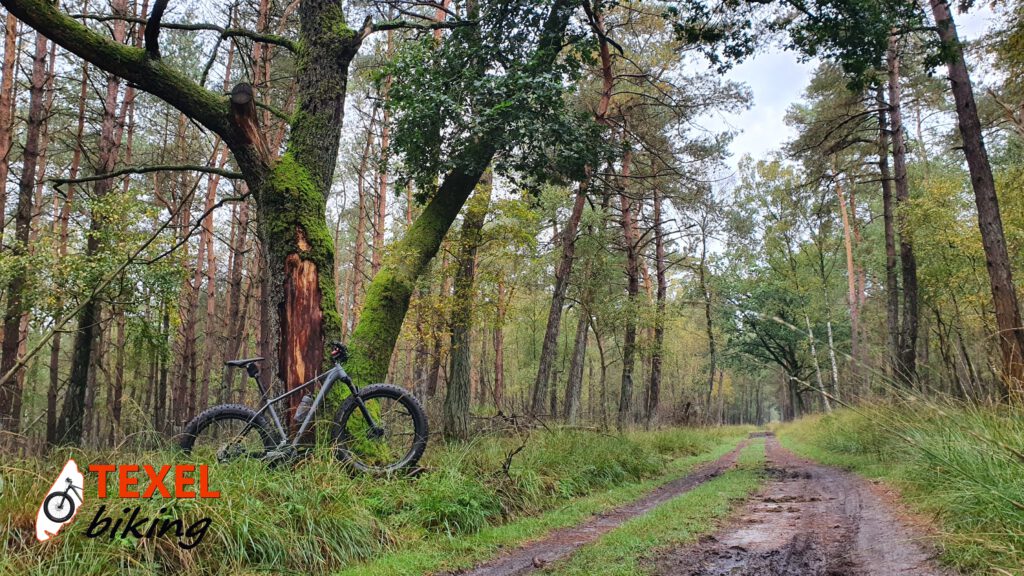 Gelderland TEXELbiking